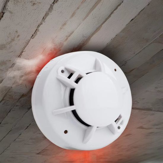 Smoke Detector Alarm Standalone